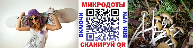 Галлюциногенные грибы Magic Shrooms  цена наркотик  Ростов 